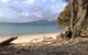Malting Lagoon Guest House And Brewery - thumb 19