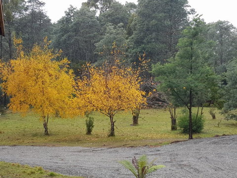 Cradle Alpine Retreat - Accommodation Tasmania 3
