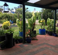Blue Wren Bungalow - Accommodation Tasmania