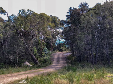BAY OF FIRES ECO HUT Off Grid Experience At Binalong Bay - Accommodation Tasmania 12