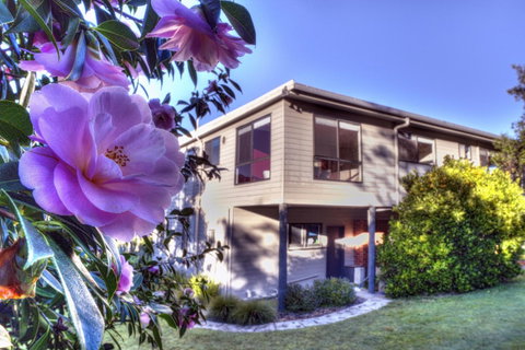 Cove Beach Apartment 2 - Accommodation Tasmania 9