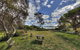 Tutumaz By The River - thumb 4