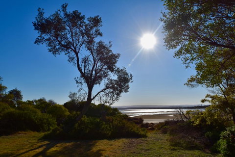 Tutumaz By The River - Accommodation Tasmania 23