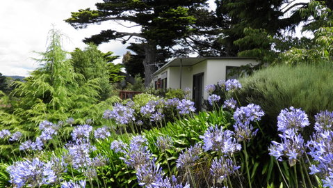 Tamar River Retreat - Accommodation Tasmania 28