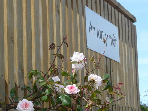 Ar Lan Y Mor - Accommodation Tasmania 12