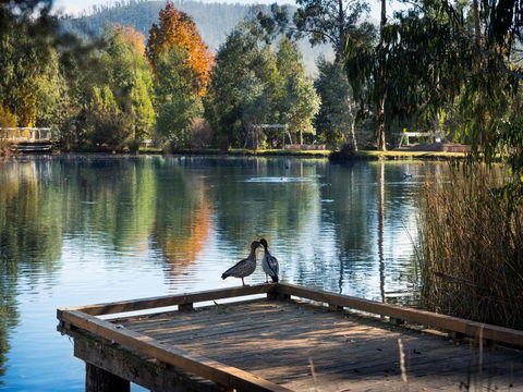 Peppers Marysville - Accommodation Tasmania 12