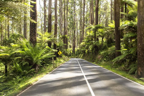 Peppers Marysville - Accommodation Tasmania 21