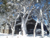 Book Dinner Plain Accommodation Vacations Accommodation Tasmania Accommodation Tasmania