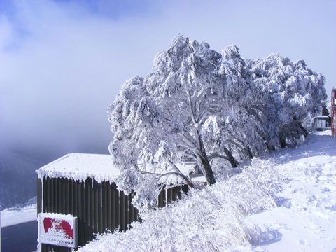 Arlberg Hotham - Accommodation Tasmania 15