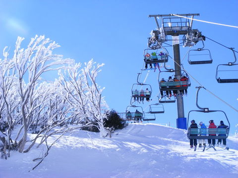 Arlberg Hotham - Accommodation Tasmania 12