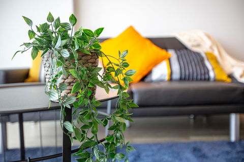 Brand New One/Two - Bed Room Apartment @ Maribyrnong - Accommodation Tasmania 0