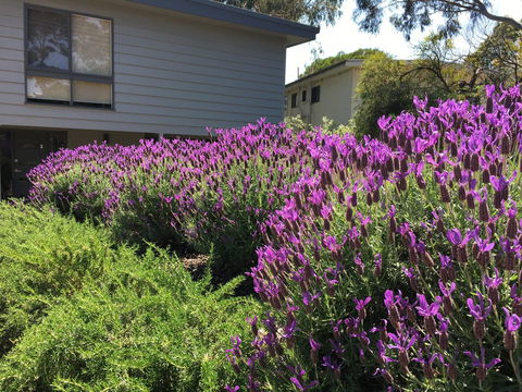 Kookas Retreat - Accommodation Tasmania 14