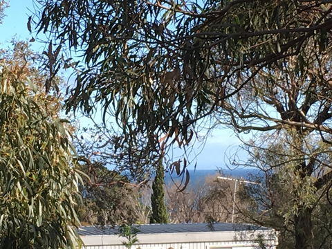 Kookas Retreat - Accommodation Tasmania 17