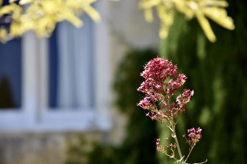 Villa Mallorca - Accommodation Tasmania 28