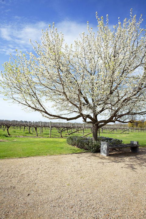 Lancemore Milawa - Accommodation Tasmania 12