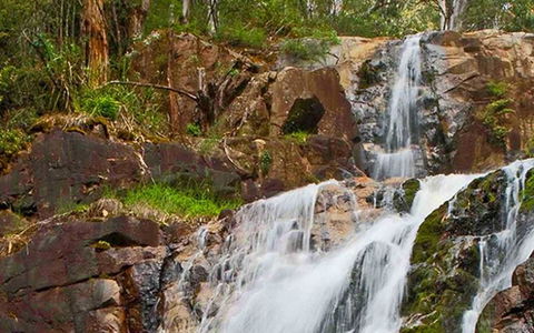 Marysville Caravan And Holiday Park - Accommodation Tasmania 37