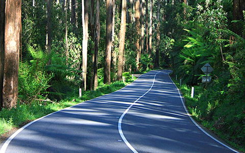 Marysville Caravan And Holiday Park - Accommodation Tasmania 40
