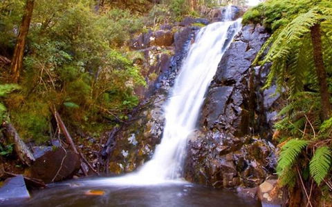 Marysville Caravan And Holiday Park - Accommodation Tasmania 32