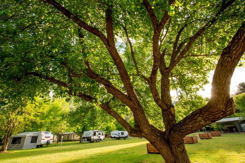 Discovery Parks - Bright - Accommodation Tasmania 31