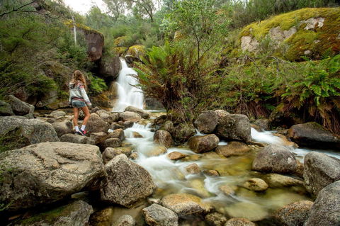 Discovery Parks - Bright - Accommodation Tasmania 21