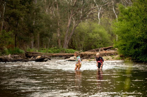 Discovery Parks - Bright - Accommodation Tasmania 20