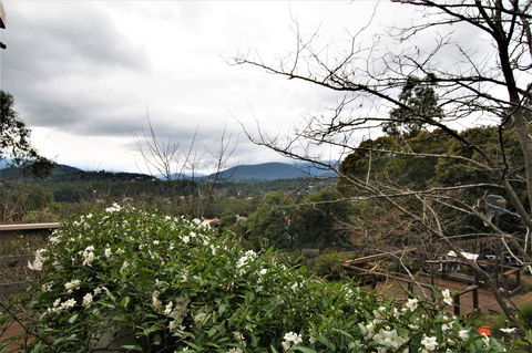Hamptons In Healesville - Accommodation Tasmania 13