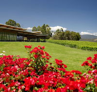 Balgownie Estate Vineyard Resort  Spa - Accommodation Tasmania