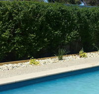 Robinvale Bridge Motel - Accommodation Tasmania