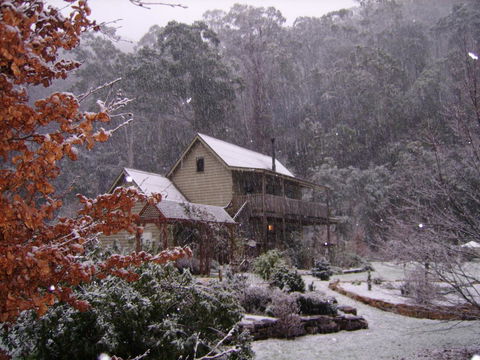 Shady Brook Cottages - Accommodation Tasmania 24