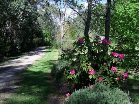 Shady Brook Cottages - Accommodation Tasmania 15