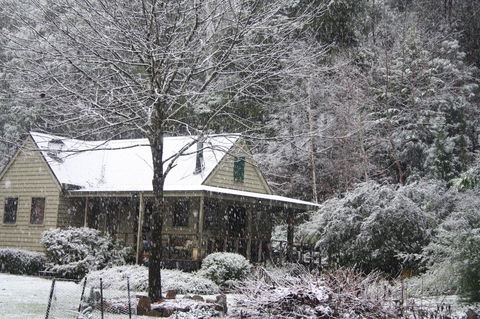 Shady Brook Cottages - Accommodation Tasmania 30