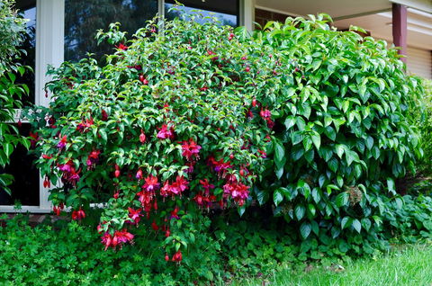 Crimea Retreat - Accommodation Tasmania 18