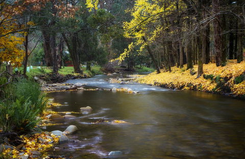 Goldfield Holiday Units - Accommodation Tasmania 0