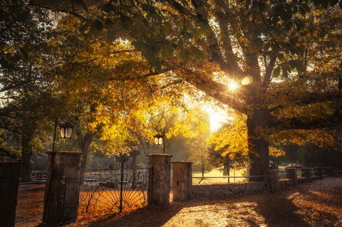 Goldfield Holiday Units - Accommodation Tasmania 20