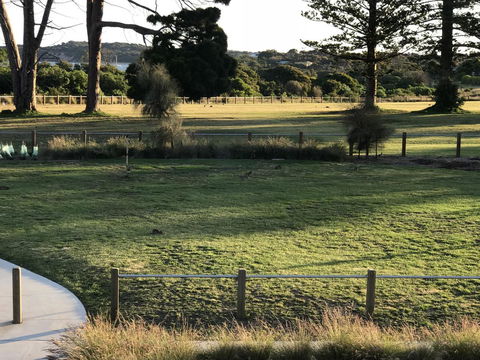 Bunya By The Sea - Accommodation Tasmania 3
