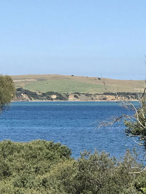 Bunya By The Sea - Accommodation Tasmania 7