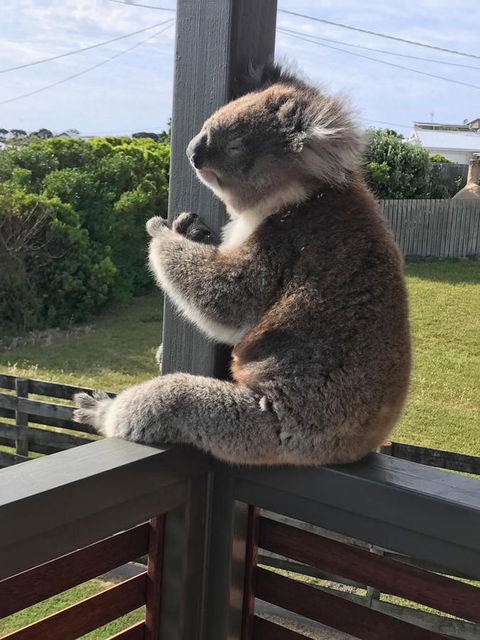 Sunsets On Martyrs Luxury Coastal Beach House Peterborough - Accommodation Tasmania 28