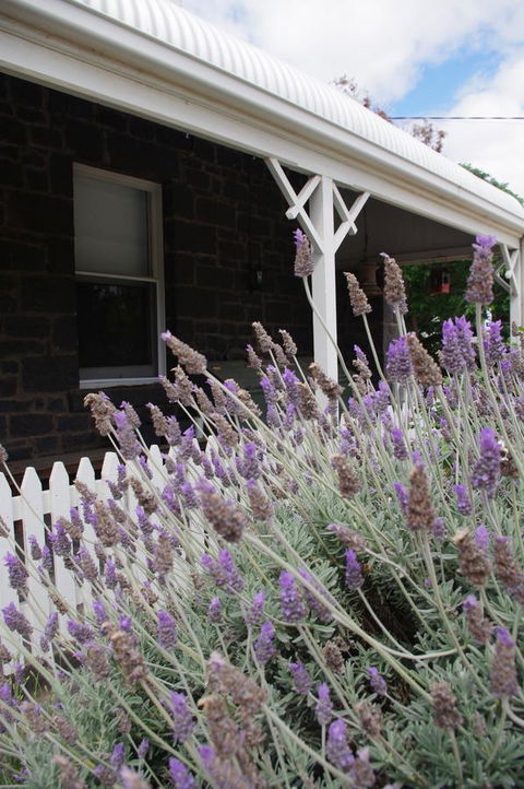Little River Bed And Breakfast - Accommodation Tasmania 30