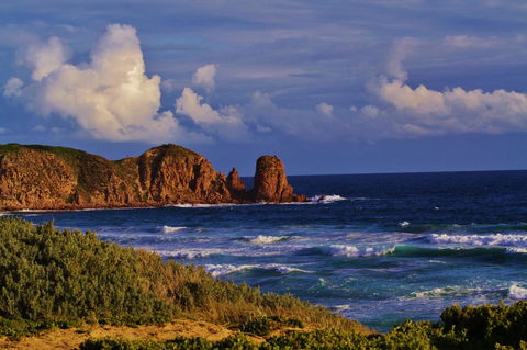 Arcadia Phillip Island - Accommodation Tasmania 27