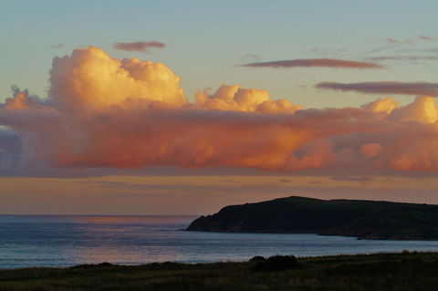 Arcadia Phillip Island - Accommodation Tasmania 19