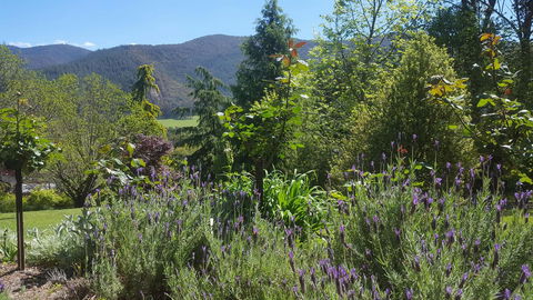 Abbys Cottages Bright - Accommodation Tasmania 33