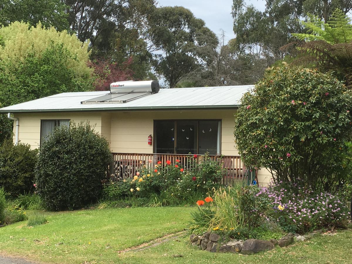 Allambee Reserve VIC Accommodation Tasmania