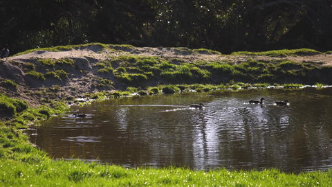 Limosa Rise - Accommodation Tasmania 15