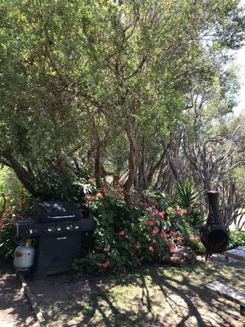 The Fingal Farm - Accommodation Tasmania 24