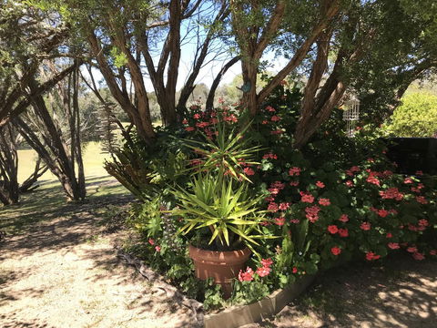 The Fingal Farm - Accommodation Tasmania 33