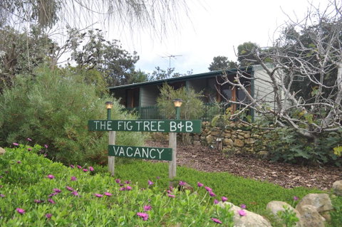 The Fig Tree B&B - Accommodation Tasmania 0