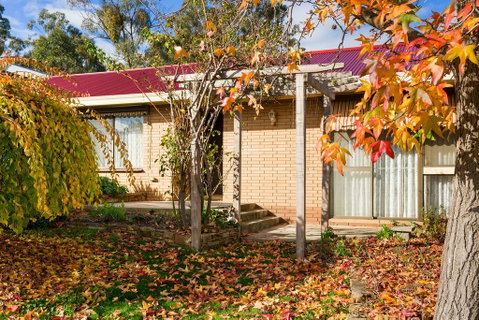 The Greenery - Accommodation Tasmania 0