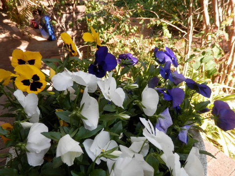 The Hideaway Luxury B&B Retreat - Accommodation Tasmania 1