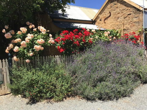 The Olde Devonshire House - Accommodation Tasmania 2