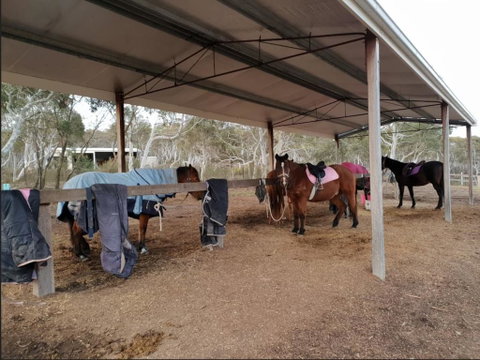 The Saddle Camp Tiny House, Braidwood - Accommodation Tasmania 1